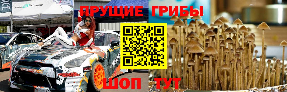 Галлюциногенные грибы мицелий Лангепас